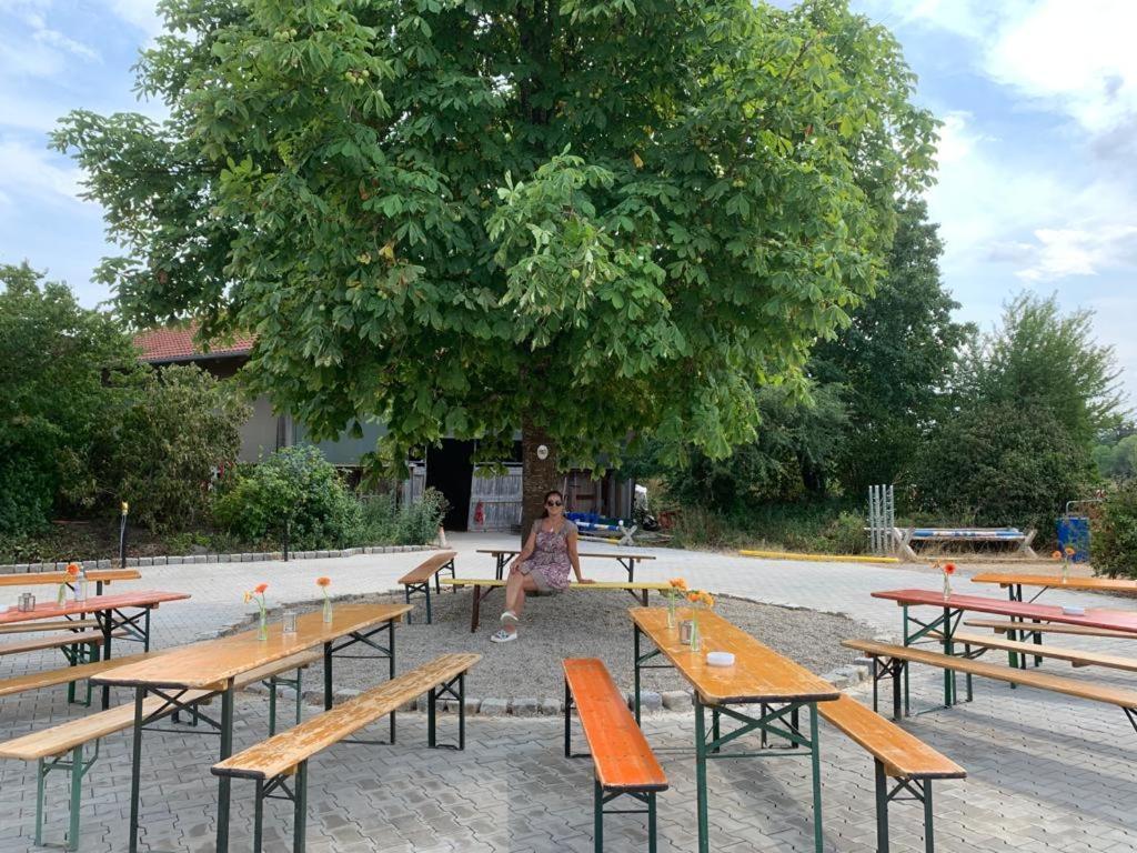Reitschule Kronwitter Mainbernheim Bagian luar foto