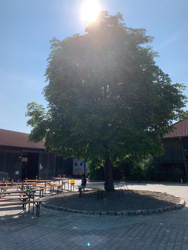 Reitschule Kronwitter Mainbernheim Bagian luar foto